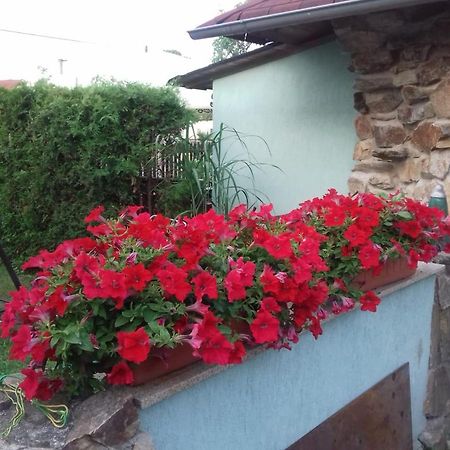 Apartmany Na Hline Třeboň 外观 照片