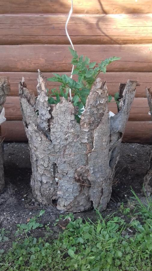 Apartmany Na Hline Třeboň 外观 照片