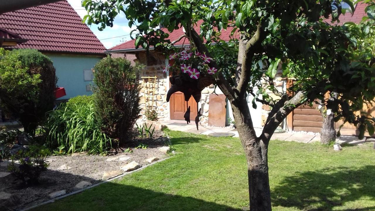Apartmany Na Hline Třeboň 外观 照片